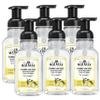 J.R. Watkins Moisturizing Foam Hand Soap Dispenser 6 Pack, Lemon, 9 fl oz view 1