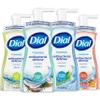 Dial Complete Foaming Anti-Bacterial Hand Wash Variety 4-Pack - Assorted Scents. 7.5 Oz Each view 1