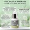 Y Not Natural Australian Emu Oil with Vitamin E & C - 50mL Skin Brightener Serum for Face & Body to Reduce Visible Signs of Aging, Spots & Sun Damage - Antioxidant w/Omega 3 6 9 & Essential Oils view 3