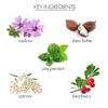 Whish Coconut Milk & Verbena CC Body Cream - Color Correcting Moisturizer with Shea Butter & Aloe for Instant Glow - Paraben & Sulfate Free - 5 fl oz view 4