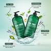 Botanic Hearth Tea Tree Shampoo and Conditioner Set | with 100% Pure Tea Tree Oil, for Itchy and Dry Scalp, Sulfate/Paraben Free | for Men and Women | 16 Fl Oz Each view 3