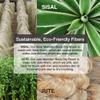 Ginger Chi Dry Brush for Skin, Dry Brushes for Body - Natural Bristle Brush for Dry Brushing Skin (Jute Dry Brush) view 3
