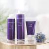 Brocato Supersilk Pure Indulgence Shampoo, 10 oz | Silky and Smooth | Smoothing and Moisturizing Shampoo Tames Curly & Frizzy Hair view 2