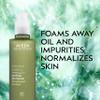 Aveda Botanical Kinetics Purifying Gel Cleanser | for Normal to Oily Skin | with Lavender and Vitamin E | 97% Naturally Derived*, 16.9 Fl Oz view 2