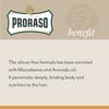 Proraso Beard Oil for Men to Tame, Smooth and Condition Beard Hair - Wood & Spice, 1 Fl Oz (Pack of 1) view 4