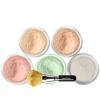 5pc KIT w/FACE BRUSH (WARM Neutral Shade-Most Popular) Mineral Makeup Set Full Size Powder Bare Skin Matte Foundation view 1