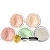 5pc KIT w/FACE BRUSH (PINK BISQUE) Mineral Makeup Set Full Size Powder Bare Skin Matte Foundation view 1