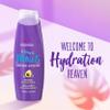 Aussie Miracle Moist with Avocado & Jojoba Oil, Paraben Free Shampoo & Conditioner, 26.2 fl oz Dual Pack view 3