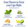 Dr. Bronner's - Organic Lip Balm Variety Peppermint, Orange Ginger, Naked, Lemon Lime) - Made with Organic Beeswax and Avocado Oil, For Dry Lips, Hands, Chin or Cheeks, 0.15 Ounce (Pack of 4) view 3