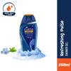 Fiama Di Wills Men Refreshing Pulse Shower Gel, 250ml view 2