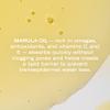 Odacit Anti Aging Serum Concentrate with Marula + Neroli, Elasticity Glow Recipe - Facial Oil for Hydration, Skin Texture & Visibly Smoother and More Supple Skin, 0.17 fl. oz view 3