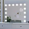 BEAUTME Vanity Mirror with Lights 24.4x19.7 Inch,Hollywood Style/Tabletop/Wall Mounted,Detachable 10X Spot Cosmetic Mirror for Vanity/Dressing Room/Bedroom,Silver view 2