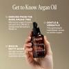Cliganic Organic Argan Oil, 100% Pure - for Hair, Face & Skin | Cold Pressed Carrier Oil view 3