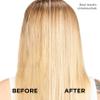 L'Oreal Paris Blonde Sulfate Free Shampoo and Conditioner for Color-Treated Hair, Neutralizes Brass + Balances, EverPure, 8.5 Fl Oz, Set of 2 view 4