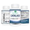 Best Earth Naturals Catalase Formula Starter Set with 60 Capsules of Catalase 10,000 Shampoo 8 Ounces and Conditioner 8 Ounces view 2