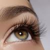 Eveline Cosmetics Multi-purpose Eyelash Serum Total Action 8 in 1, 0.33 Fluid Ounce view 4