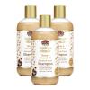 African Pride Moisture Miracle Honey & Coconut Oil Shampoo - For Natural Coils & Curls, Nourishes & Shines, Sulfate Free, Color Safe, 12 oz (3 Pack) view 1