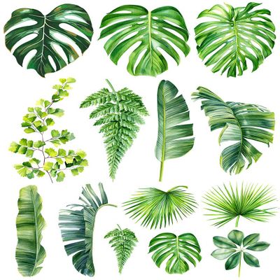 Ceramic Decals - Overglaze - Enamel Decal - Palm Leafs