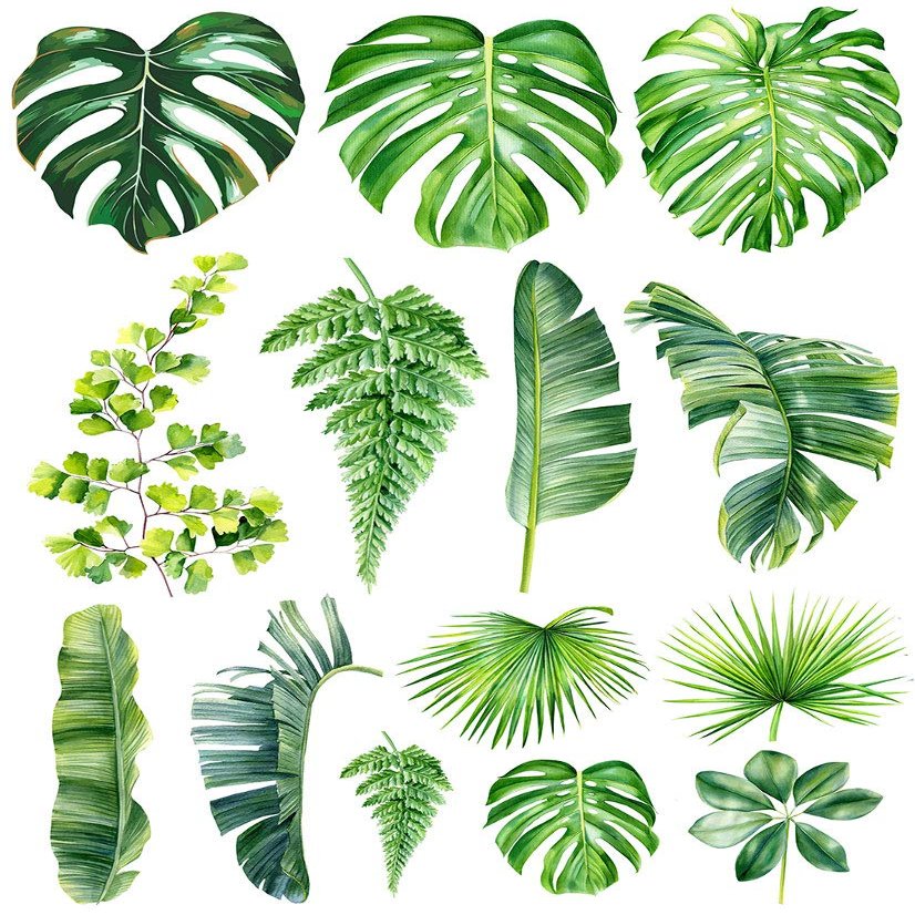 Ceramic Decals - Overglaze - Enamel Decal - Palm Leafs