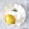 Ceramic Decals - Overglaze - Enamel Decal - Palm Leafs view 2