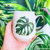 Ceramic Decals - Overglaze - Enamel Decal - Palm Leafs view 3