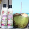 Alikay Naturals Caribbean Coconut Milk Conditioner |Natural Fatty Acids, Coconut Milk & Oil 8 Ounce view 3