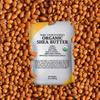 Mary Tylor Naturals Organic Shea Butter 1 lb  USDA Certified Raw, Unrefined, Ivory From Ghana Africa  Great for Hair, Skin and all your DIY Projects view 4