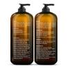 Botanic Hearth Biotin Shampoo and Conditioner Set - with Ginger Oil & Keratin for Hair Loss and Thinning Hair for Men and Women - Sulfate Free, 16 fl oz each view 3