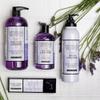 Archipelago Botanicals Lavender Hand Crme, Rich and Lightly Scented Hand Lotion for Dry Skin, Cuticles and Rough Spots, Premium Plant Extracts (3.2 oz) view 4