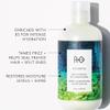 R+Co Atlantis Moisturizing B5 Conditioner| Nourishing + Tames Frizz + Intense Hydration | Vegan + Cruelty-Free | 2 Oz view 2
