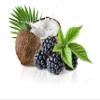 GIOVANNI 2chic Ultra-Repairing Hair Mask - Blackberry & Coconut Oil for Dry, Damaged & Processed Hair, Argan, Jojoba, Shea Butter & Keratin, Lauryl & Laureth Sulfate Free, Color Safe - 5 oz view 3