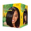 Soft & Beautiful Botanicals No-Lye Sensitive Scalp Relaxer Coarse 1 application view 2