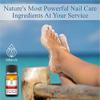 Teliaoils Oregano Healthy Nails Synergy Oil Blend - Maximum Strength Repairing Oil For Toenail Conditions, Discoloration, Yellow Brittle Nails - Natural Solution For Thick, Strong Nails - 0.33 Oz view 2