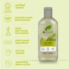 Organic Doctor Tea Tree, Shampoo, 9 Fluid Ounce view 4