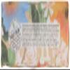 Nesti Dante Nesti dante bio natura sustainable vegetal soap - ginseng and barley, 8.8oz, 8.8 Ounce view 3