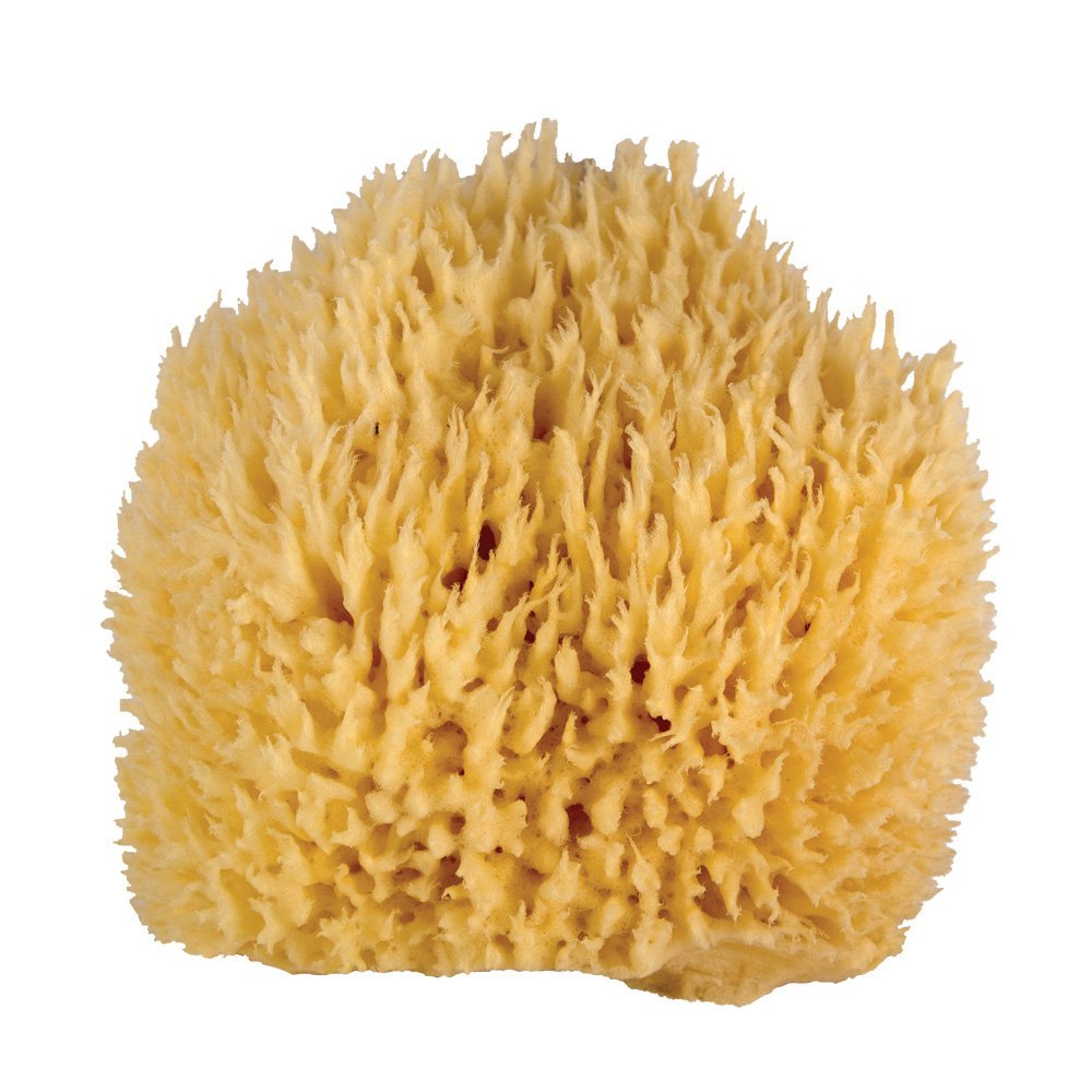Whoa Daddy! Ultra Soft Large Sea Wool Bath Sponge