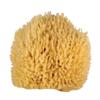 Whoa Daddy! Ultra Soft Large Sea Wool Bath Sponge view 1
