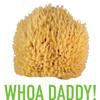 Whoa Daddy! Ultra Soft Large Sea Wool Bath Sponge view 2