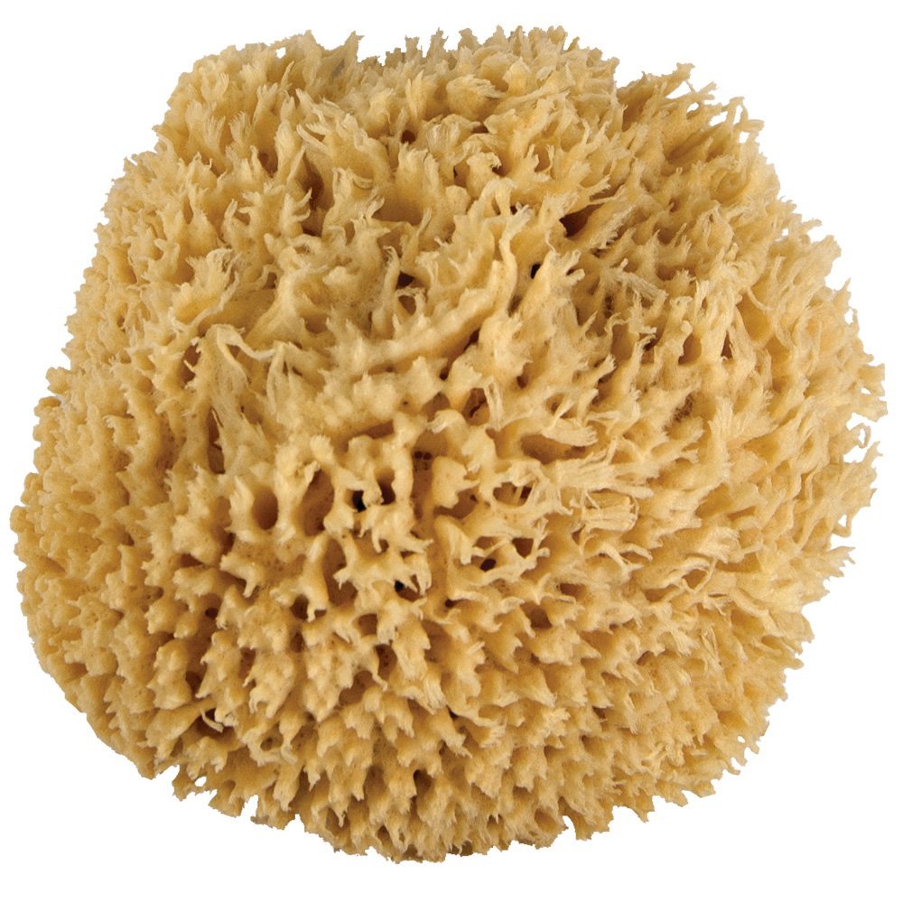 JUST Whoa. Ultra Soft & Really Big Sea Wool Bath Sponge