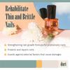Duri Rejuvacote 2 Nail Growth Base and Top Coat, Balanced Repair - Nail Hardener for peeling, thin, or fragile nails (Pack of 1) view 2
