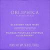 Obliphica Medium to Coarse Seaberry Mask, 1.05 Pound - Nourishing and Restorative Hair Treatment for Medium to Coarse Hair Types, Ensuring Lustrous Shine, Manageability, and Revitalization view 2