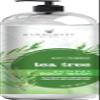 Handcraft Blends Tea Tree Oil Body Wash 16 oz - Extra Strength Body Wash For Athletes Foot, Nail Fungus, Itchy Skin, Jock Itch, Acne and Eczema - Tea Tree Body Wash For Men & Women view 1