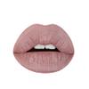 Aromi Desert Taupe Matte Liquid Lipstick | Greige, Grey Beige Lip Color, Long-Lasting Lipstick, Handmade, Day to Night (Desert Taupe) view 1