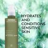 Aveda Botanical Kinetics All-Sensitive Lotion | Daily Moisturizer for Sensitive Skin | Fragrance-Free, 5 Fl Oz view 2