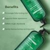 Botanic Hearth Peppermint Oil Shampoo And Conditioner Set | Hair Blooming Formula With Keratin | Fights Hair Loss | Sulfate Free For Men And Women | 16 Fl Oz X 2 view 3