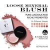 Alima Pure Loose Mineral Blush - Powder Makeup for Cheeks, Satin Matte Finish, Pink, Talc Free, Vegan .15 oz/ 4.5 g view 2