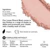 Alima Pure Loose Mineral Blush, Powder Blush Makeup, Cheek Tint Face Blushes with Satin Matte Finish, Pink Blush Makeup, Talc Free Blush, Natural Blush for cheeks Vegan Blush .15 oz/ 4.5 g view 3