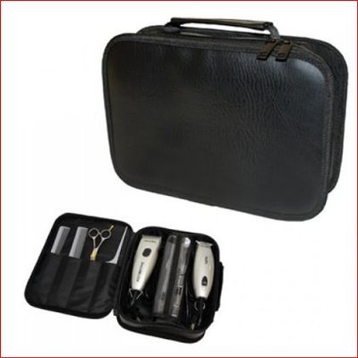 City Lights Clipper Case