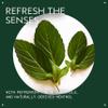 Aveda Cooling Balancing Oil Concentrate | Massage Into Sore, Achy Muscles | with Certified Organic Peppermint, Blue Chamomile | Naturally Derived* Menthol, 1.7 Fl Oz view 3