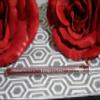 Beauticontrol Lip Perfecting Pencil/crayon SPICE view 1
